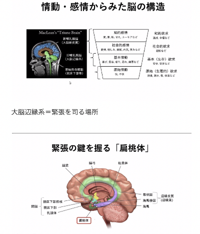 第1回スキークロス国内合宿報告